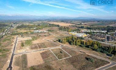 PARCELA ALTO LINARES 3, REGION DEL MAULE, CHILE