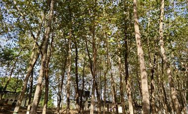 EN VENTA, HOTEL ECOTURISTICO RENTANDO - SE ACEPTAN PERMUTAS