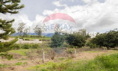 LOTE DE VENTA EN CHALTURA CALLE PASQUEL MONJE