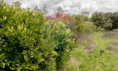 LOTE DE VENTA EN CHALTURA CALLE PASQUEL MONJE