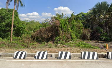 Lot for sale in Layac – Balanga – Mariveles Port Road, Don Vicente E. Pizarro Subdivision, Panilao, Wawa, Pilar, Bataan