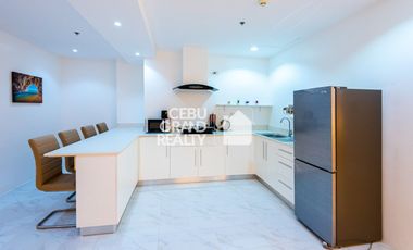 Spacious Fully Furnished 3 Bedroom Penthouse for Rent near IT Park