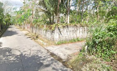 1.3 hectare vacant corner farm lot in Amadeo Cavite with concrete perimeter fence.
