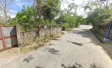 1.3 hectare vacant corner farm lot in Amadeo Cavite with concrete perimeter fence.