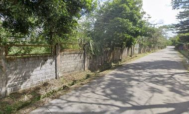 1.3 hectare vacant corner farm lot in Amadeo Cavite with concrete perimeter fence.
