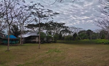 1.3 hectare vacant corner farm lot in Amadeo Cavite with concrete perimeter fence.