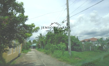 Affordable Land in Villa San Roque, Brgy. Quilib, Rosario, Batangas