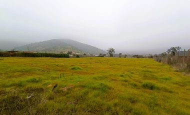 PARCELA PLANA /CULIPRÁN/MELIPILLA