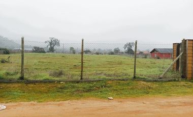 PARCELA PLANA /CULIPRÁN/MELIPILLA