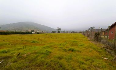 PARCELA PLANA /CULIPRÁN/MELIPILLA