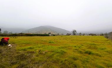 PARCELA PLANA /CULIPRÁN/MELIPILLA