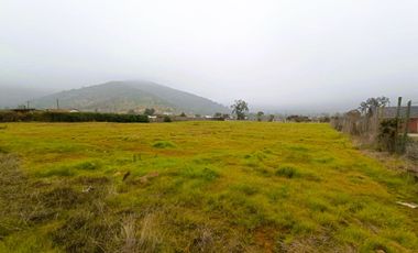 PARCELA PLANA /CULIPRÁN/MELIPILLA