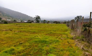 PARCELA PLANA /CULIPRÁN/MELIPILLA