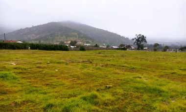 PARCELA PLANA /CULIPRÁN/MELIPILLA
