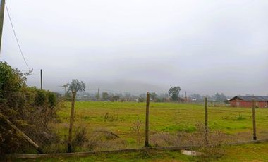 PARCELA PLANA /CULIPRÁN/MELIPILLA
