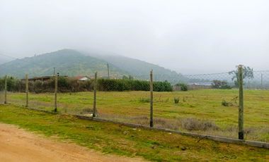 PARCELA PLANA /CULIPRÁN/MELIPILLA