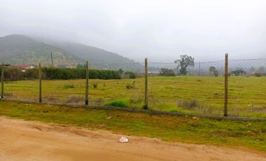PARCELA PLANA /CULIPRÁN/MELIPILLA
