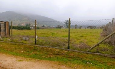 PARCELA PLANA /CULIPRÁN/MELIPILLA