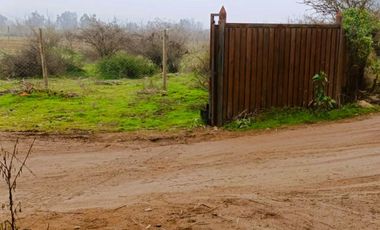 PARCELA PLANA /CULIPRÁN/MELIPILLA