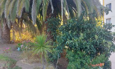 REBAJADO!!!!  Se vende depto. en Lord Cohrane de Viña del Mar