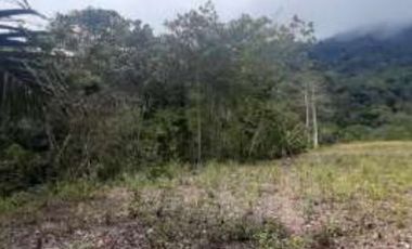 Venta de terreno vía Cumandá – Pallatanga, Riobamba