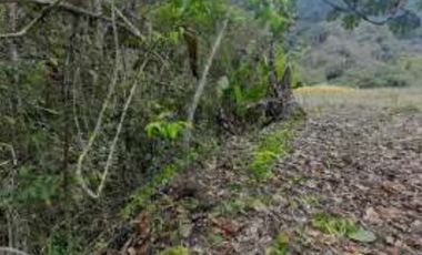 Venta de terreno vía Cumandá – Pallatanga, Riobamba