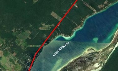 HECTAREAS EN BACALAR