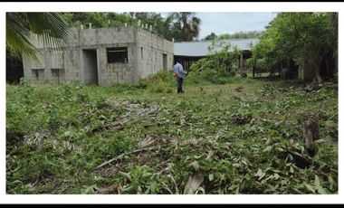 HECTAREAS EN BACALAR
