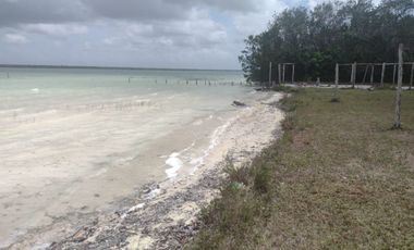 HECTAREAS EN BACALAR
