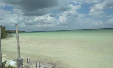 HECTAREAS EN BACALAR