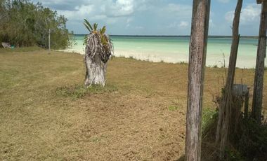 HECTAREAS EN BACALAR