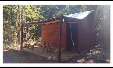 HECTAREAS EN BACALAR