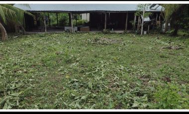 HECTAREAS EN BACALAR
