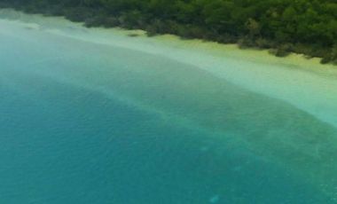 HECTAREAS EN BACALAR