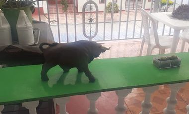 SE VENDE HERMOSA Y AMPLIA CASA