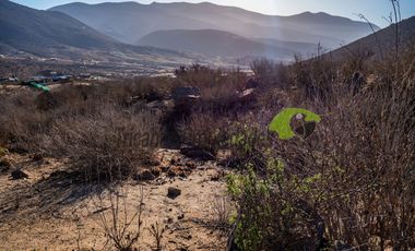 Venta de Parcelas de 5000 m2, Sector La Estrella de El Rosario. La Serena. $19 millones