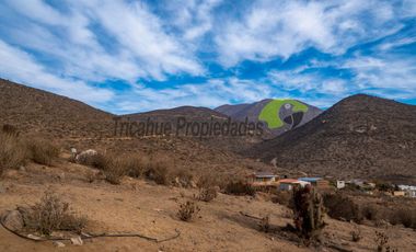 Venta de Parcelas de 5000 m2, Sector La Estrella de El Rosario. La Serena. $19 millones
