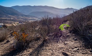 Venta de Parcelas de 5000 m2, Sector La Estrella de El Rosario. La Serena. $19 millones