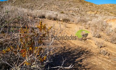 Venta de Parcelas de 5000 m2, Sector La Estrella de El Rosario. La Serena. $19 millones