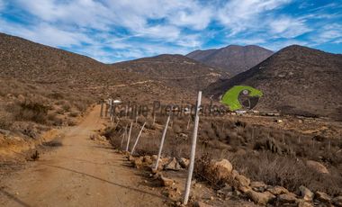 Venta de Parcelas de 5000 m2, Sector La Estrella de El Rosario. La Serena. $19 millones