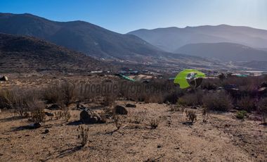 Venta de Parcelas de 5000 m2, Sector La Estrella de El Rosario. La Serena. $19 millones