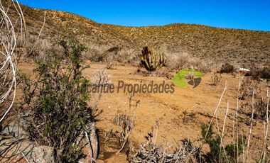 Venta de Parcelas de 5000 m2, Sector La Estrella de El Rosario. La Serena. $19 millones