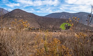 Venta de Parcelas de 5000 m2, Sector La Estrella de El Rosario. La Serena. $19 millones