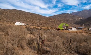 Venta de Parcelas de 5000 m2, Sector La Estrella de El Rosario. La Serena. $19 millones