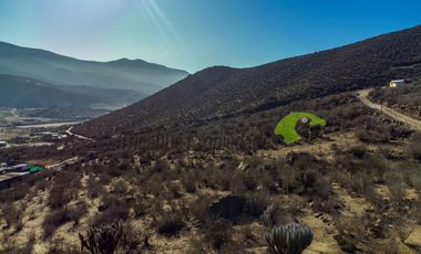 Venta de Parcelas de 5000 m2, Sector La Estrella de El Rosario. La Serena. $19 millones