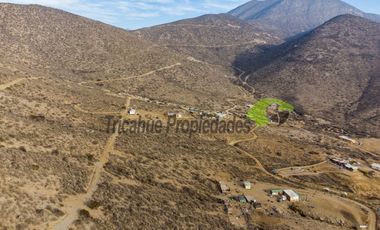 Venta de Parcelas de 5000 m2, Sector La Estrella de El Rosario. La Serena. $19 millones