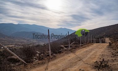 Venta de Parcelas de 5000 m2, Sector La Estrella de El Rosario. La Serena. $19 millones