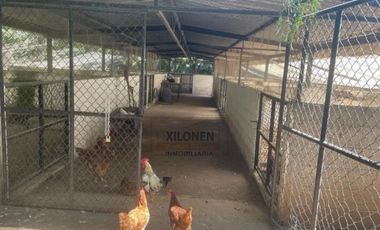 Rancho en venta en Tepeji del Río Hgo.Señorial Privilegiado,2 pozos,caballerizas,bella ecología,cancha frontón,invernaderos,instalaciones p/ animales.