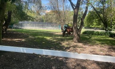 Rancho en venta en Tepeji del Río Hgo.Señorial Privilegiado,2 pozos,caballerizas,bella ecología,cancha frontón,invernaderos,instalaciones p/ animales.