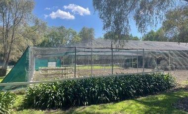 Rancho en venta en Tepeji del Río Hgo.Señorial Privilegiado,2 pozos,caballerizas,bella ecología,cancha frontón,invernaderos,instalaciones p/ animales.